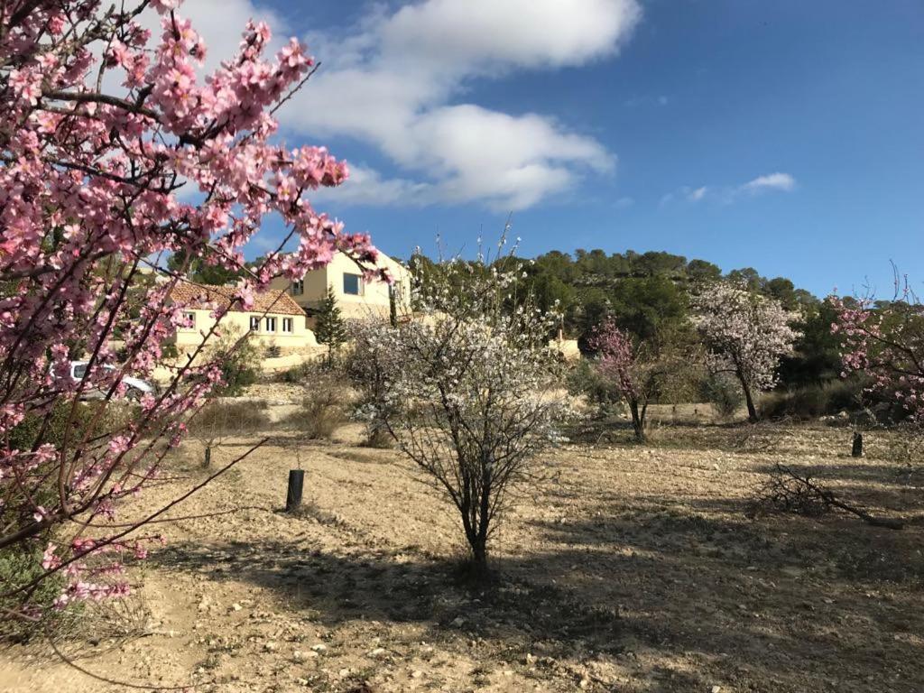 Finca Las Estrellas Relleu Luaran gambar